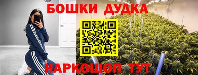 ALPHA-PVP Камышлов