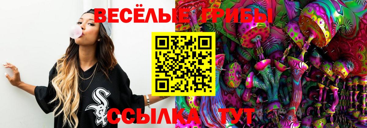 Псилоцибиновые грибы мицелий  Вход с VPN  Краснодар 